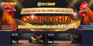 Đá Gà Cựa Dao